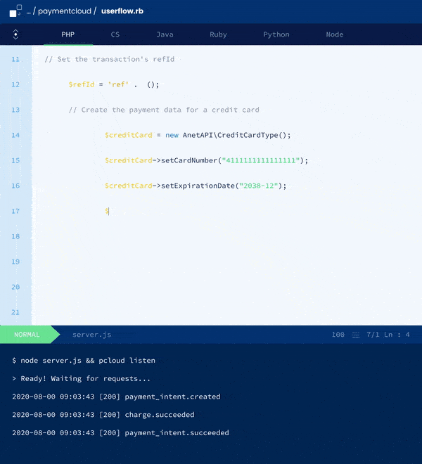 animated code for payment gateway integration API